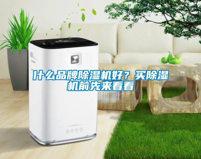 什么品牌除濕機好？買除濕機前先來看看