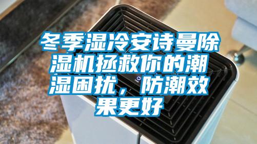 冬季濕冷安詩曼除濕機拯救你的潮濕困擾，防潮效果更好