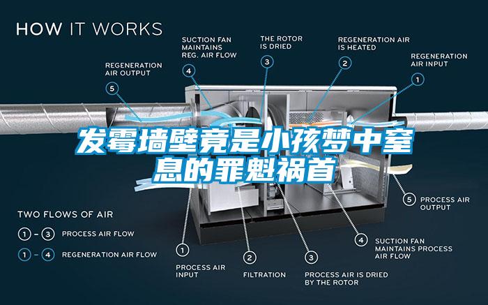 發(fā)霉墻壁竟是小孩夢中窒息的罪魁禍?zhǔn)?/></p>
						    <p style=