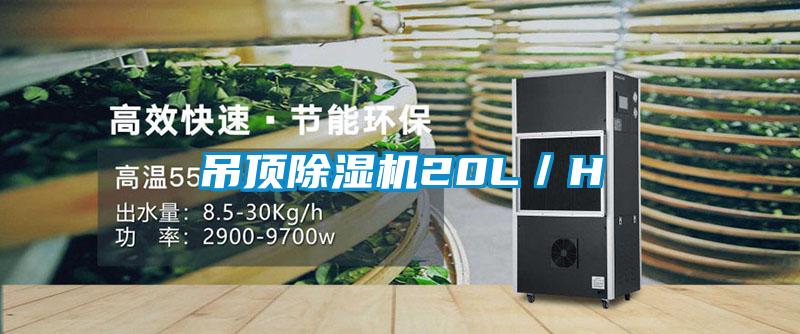 吊頂除濕機(jī)20L／H