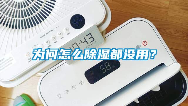 為何怎么除濕都沒用？