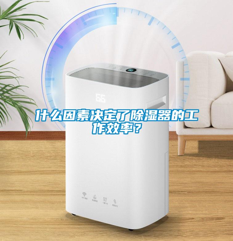 什么因素決定了除濕器的工作效率？