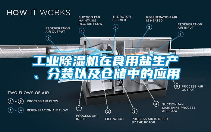 工業(yè)除濕機(jī)在食用鹽生產(chǎn)、分裝以及倉儲中的應(yīng)用