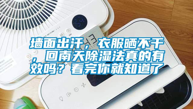 墻面出汗，衣服曬不干，回南天除濕法真的有效嗎？看完你就知道了