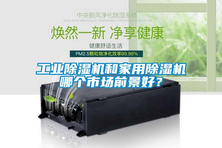 工業(yè)除濕機和家用除濕機哪個市場前景好？