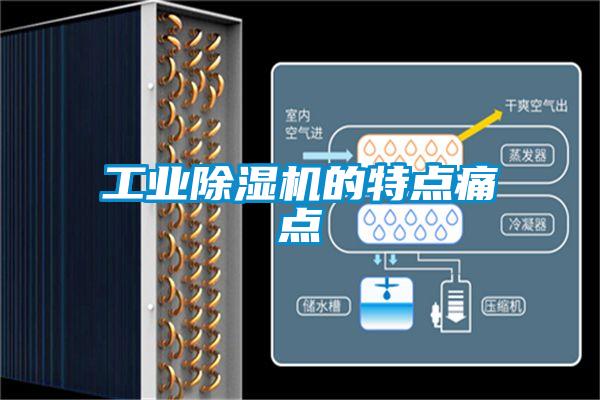 工業(yè)除濕機(jī)的特點(diǎn)痛點(diǎn)