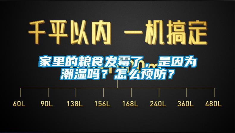 家里的糧食發(fā)霉了，是因為潮濕嗎？怎么預防？