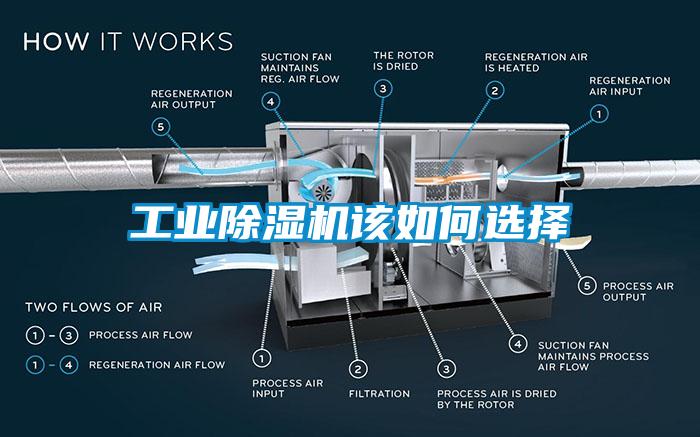 工業(yè)除濕機(jī)該如何選擇