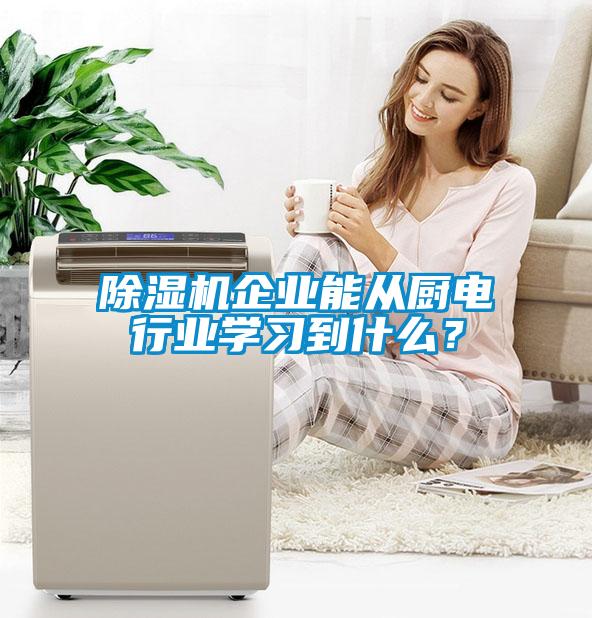 除濕機(jī)企業(yè)能從廚電行業(yè)學(xué)習(xí)到什么？