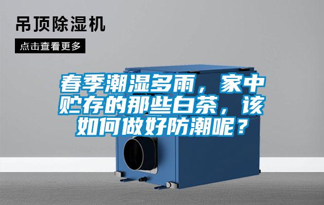 春季潮濕多雨，家中貯存的那些白茶，該如何做好防潮呢？