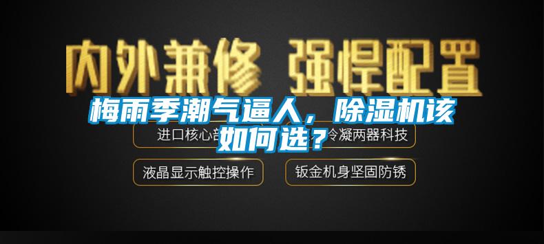 梅雨季潮氣逼人，除濕機(jī)該如何選？