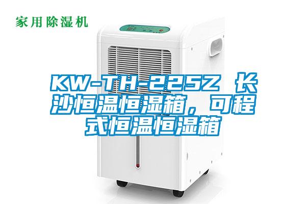 KW-TH-225Z 長沙恒溫恒濕箱，可程式恒溫恒濕箱