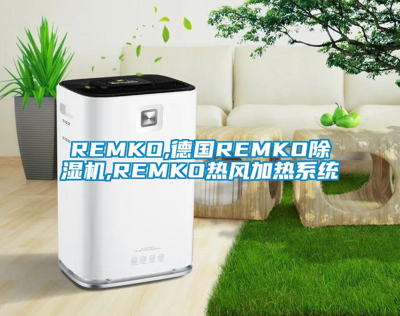 REMKO,德國(guó)REMKO除濕機(jī),REMKO熱風(fēng)加熱系統(tǒng)