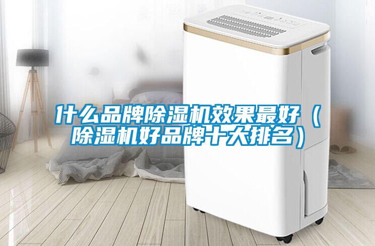 什么品牌除濕機(jī)效果最好（除濕機(jī)好品牌十大排名）