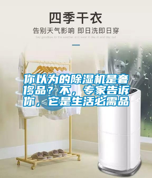 你以為的除濕機(jī)是奢侈品？不，專家告訴你，它是生活必需品