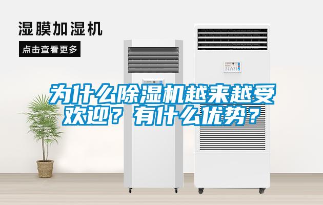 為什么除濕機(jī)越來(lái)越受歡迎？有什么優(yōu)勢(shì)？