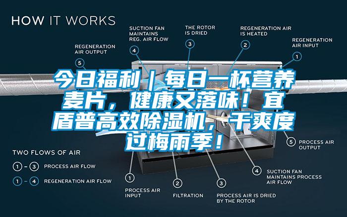 今日福利｜每日一杯營養(yǎng)麥片，健康又落味！宜盾普高效除濕機(jī)，干爽度過梅雨季！