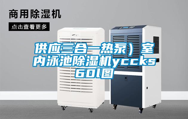 供應(yīng)三合一熱泵）室內(nèi)泳池除濕機(jī)yccks60l圖