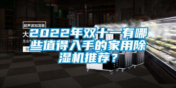 2022年雙十一有哪些值得入手的家用除濕機(jī)推薦？