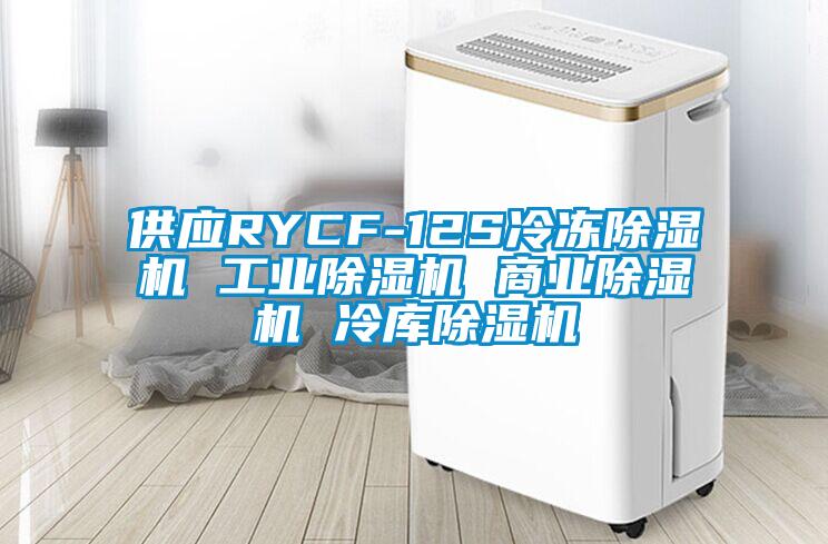 供應(yīng)RYCF-12S冷凍除濕機 工業(yè)除濕機 商業(yè)除濕機 冷庫除濕機