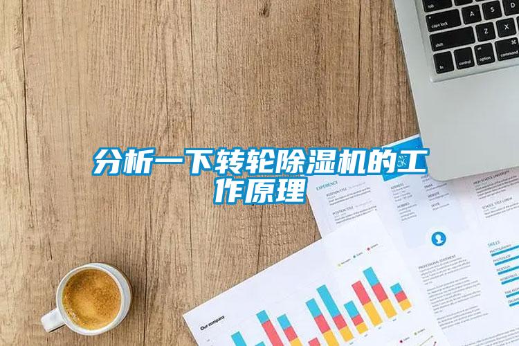 分析一下轉(zhuǎn)輪除濕機的工作原理