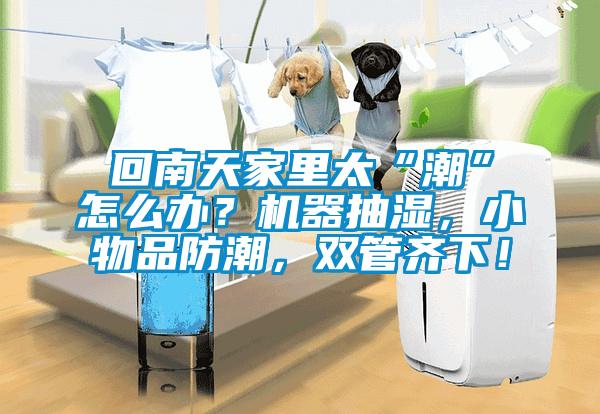 回南天家里太“潮”怎么辦？機(jī)器抽濕，小物品防潮，雙管齊下！