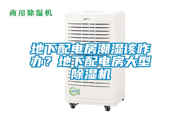 地下配電房潮濕該咋辦？地下配電房大型除濕機