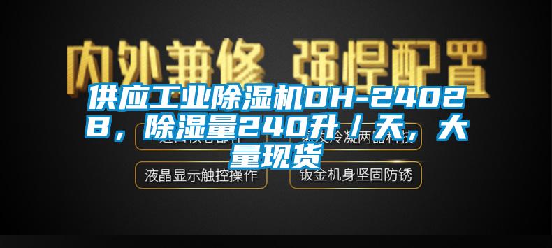 供應(yīng)工業(yè)除濕機(jī)DH-2402B，除濕量240升／天，大量現(xiàn)貨