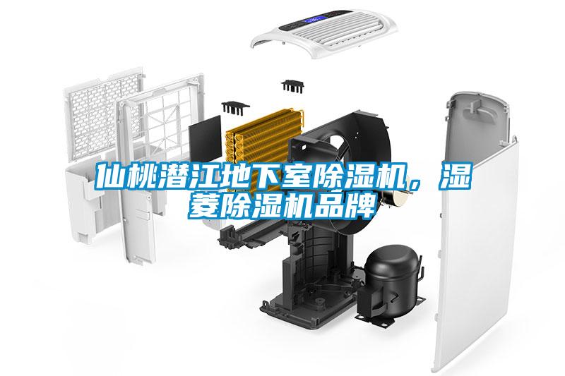 仙桃潛江地下室除濕機(jī)，濕菱除濕機(jī)品牌