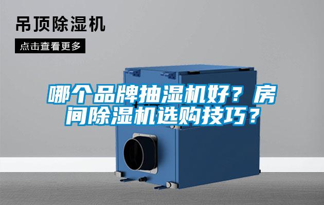 哪個品牌抽濕機好？房間除濕機選購技巧？