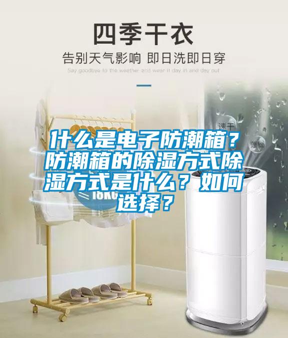 什么是電子防潮箱？防潮箱的除濕方式除濕方式是什么？如何選擇？