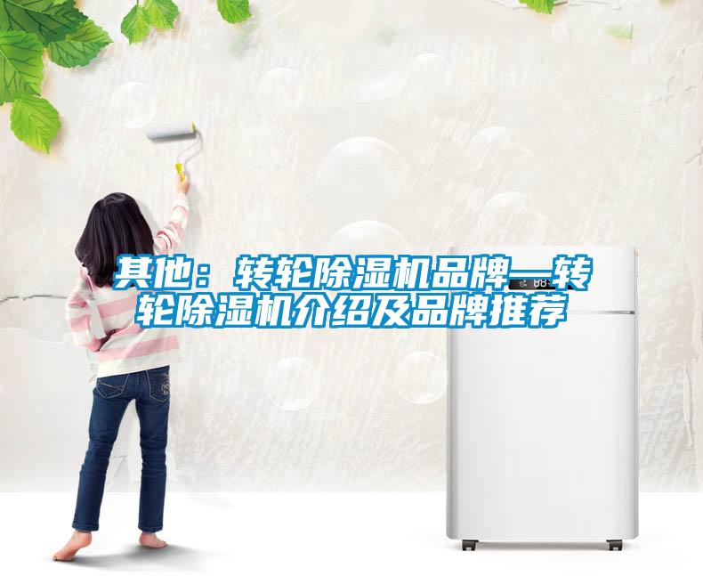 其他：轉(zhuǎn)輪除濕機品牌—轉(zhuǎn)輪除濕機介紹及品牌推薦