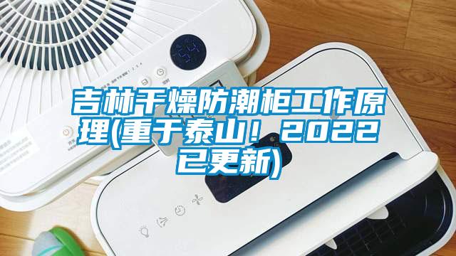 吉林干燥防潮柜工作原理(重于泰山！2022已更新)