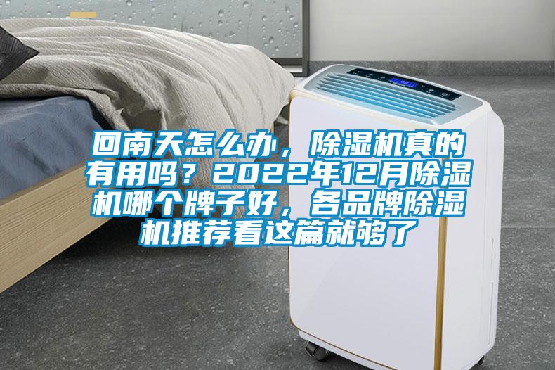 回南天怎么辦，除濕機真的有用嗎？2022年12月除濕機哪個牌子好，各品牌除濕機推薦看這篇就夠了