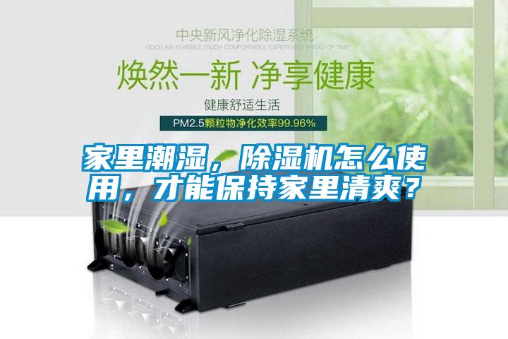 家里潮濕，除濕機(jī)怎么使用，才能保持家里清爽？