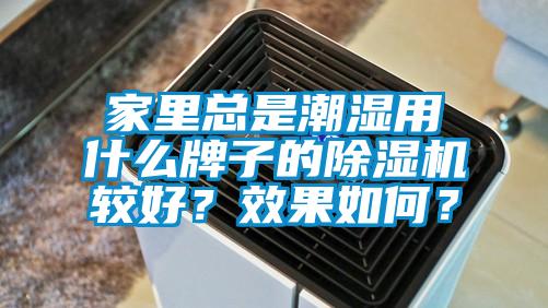 家里總是潮濕用什么牌子的除濕機較好？效果如何？