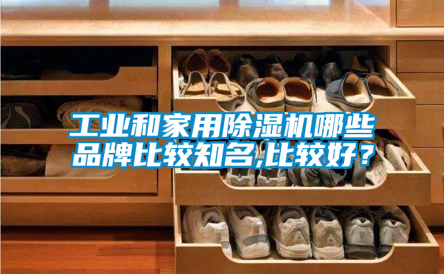 工業(yè)和家用除濕機哪些品牌比較知名,比較好？