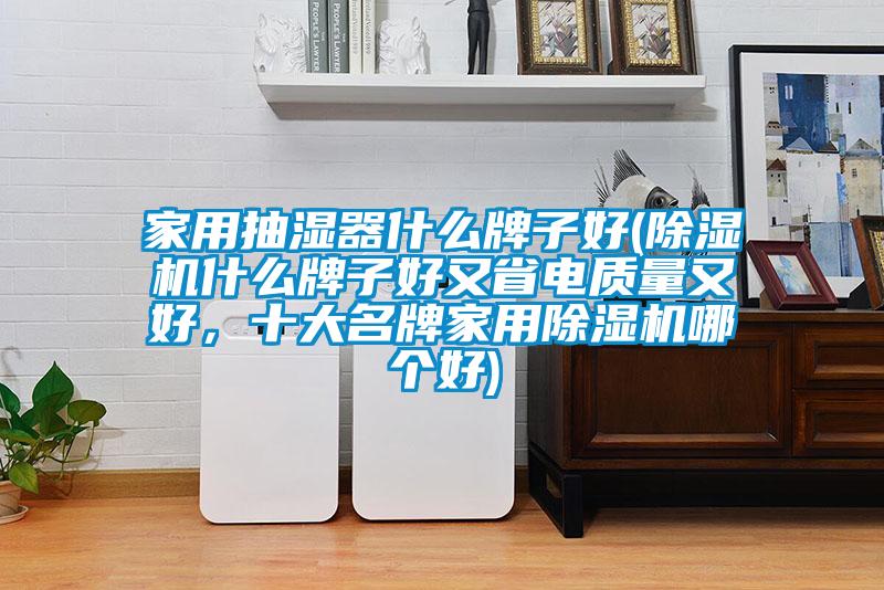 家用抽濕器什么牌子好(除濕機(jī)什么牌子好又省電質(zhì)量又好，十大名牌家用除濕機(jī)哪個好)