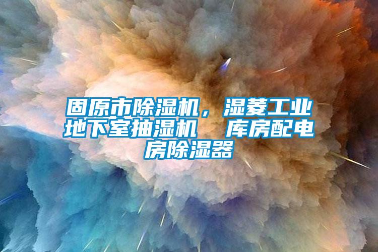 固原市除濕機，濕菱工業(yè)地下室抽濕機  庫房配電房除濕器