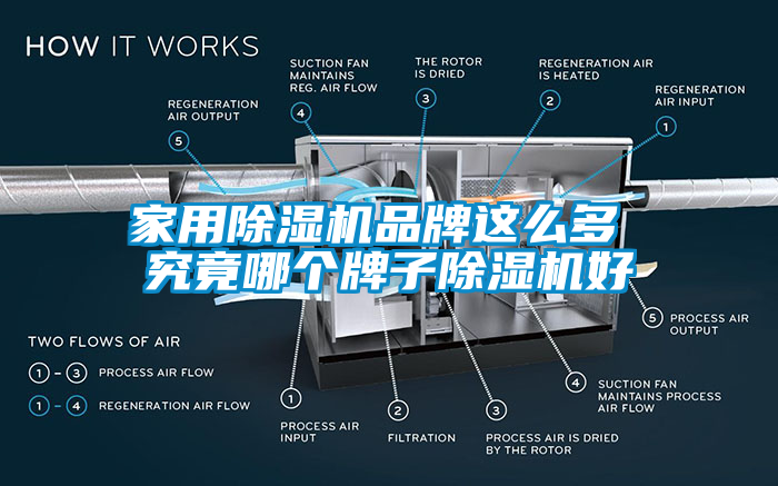 家用除濕機(jī)品牌這么多 究竟哪個牌子除濕機(jī)好