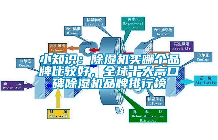 小知識(shí)：除濕機(jī)買哪個(gè)品牌比較好，全球十大高口碑除濕機(jī)品牌排行榜