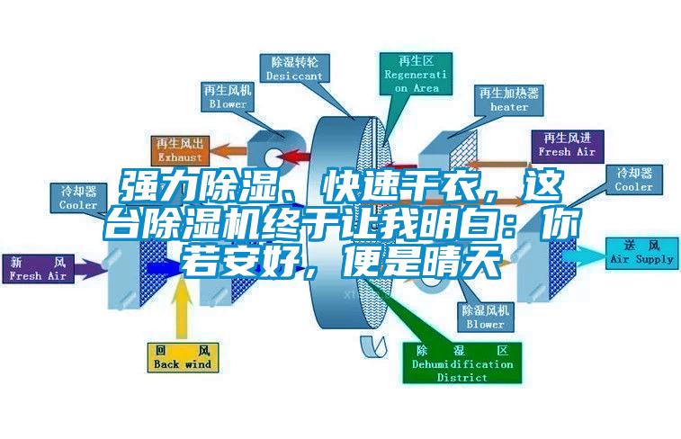 強力除濕、快速干衣，這臺除濕機終于讓我明白：你若安好，便是晴天