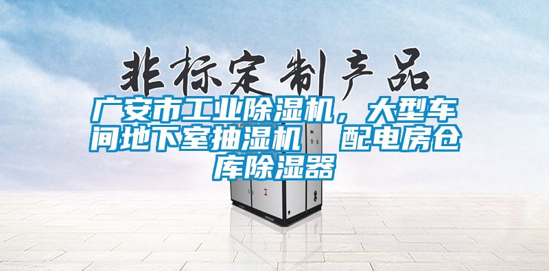 廣安市工業(yè)除濕機，大型車間地下室抽濕機  配電房倉庫除濕器