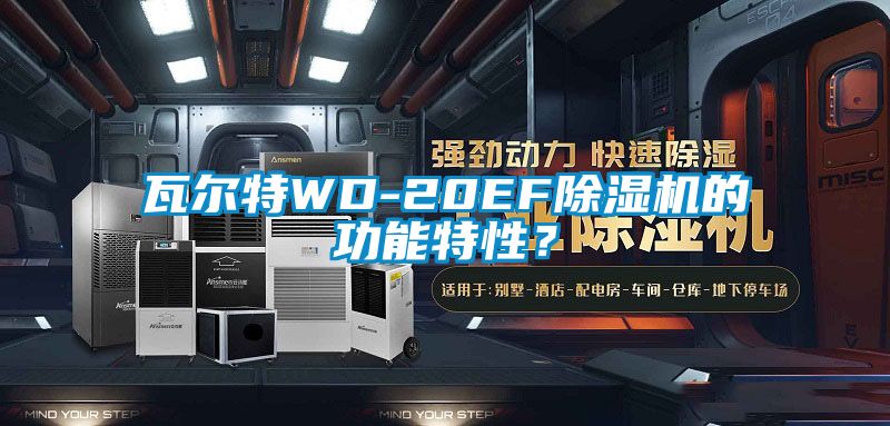 瓦爾特WD-20EF除濕機(jī)的功能特性？