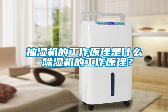 抽濕機的工作原理是什么 除濕機的工作原理？