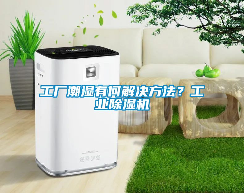 工廠潮濕有何解決方法？工業(yè)除濕機