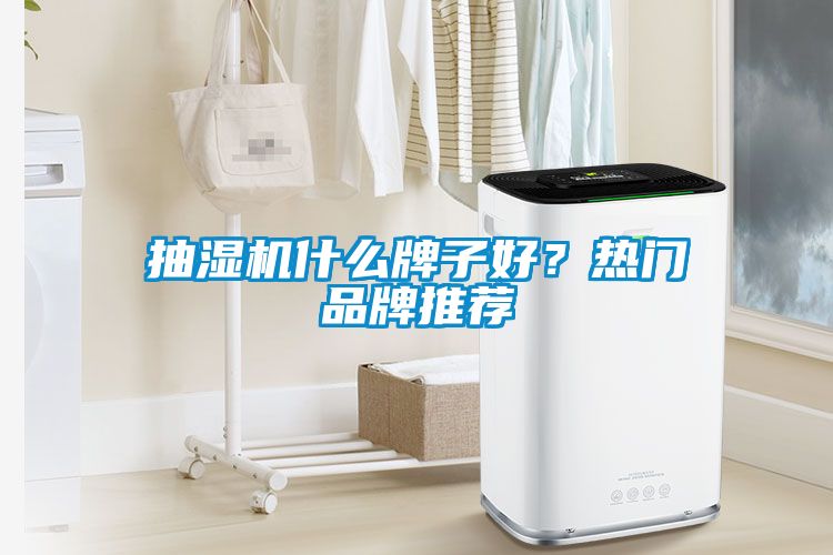 抽濕機什么牌子好？熱門品牌推薦