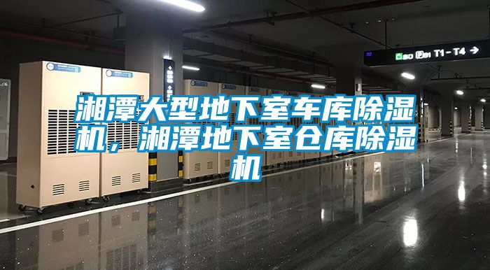 湘潭大型地下室車(chē)庫(kù)除濕機(jī)，湘潭地下室倉(cāng)庫(kù)除濕機(jī)