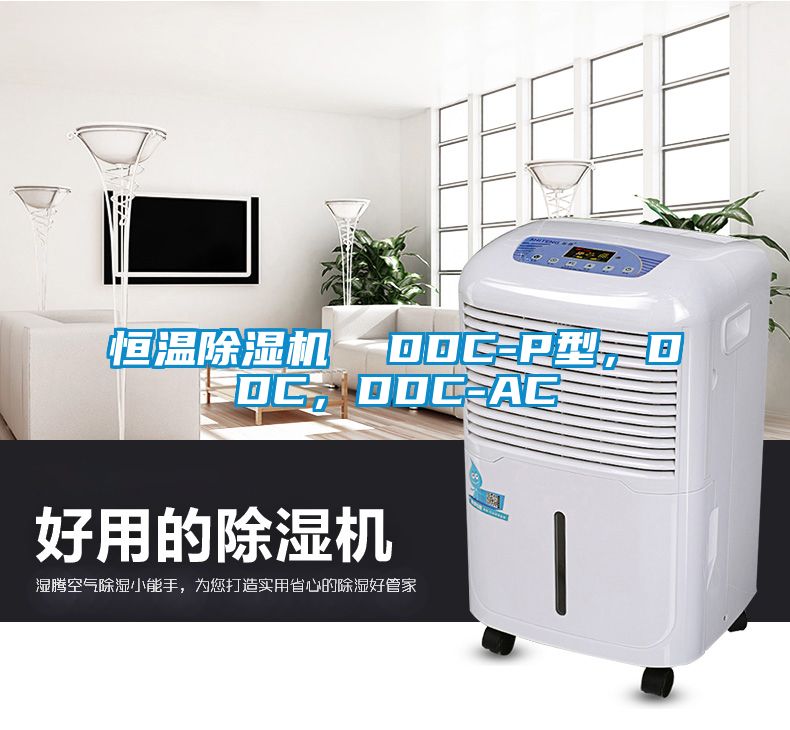 恒溫除濕機(jī)  DDC-P型，DDC，DDC-AC