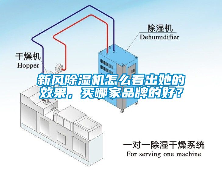 新風(fēng)除濕機(jī)怎么看出她的效果，買哪家品牌的好？